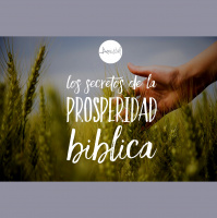 Los secretos de la prosperidad Biblica por Noel Solis