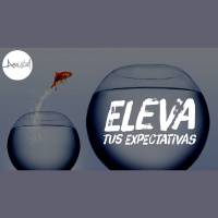 Eleva tus expectativas por Noel Solis