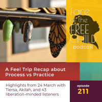 Ep 211: A Feel Trip Recap about Process vs Practice