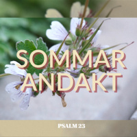Sommarandakt - Psalm 23 - vers 1