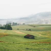 Greener Acres: Yoga Vida Farms  Maias Wilde Ways