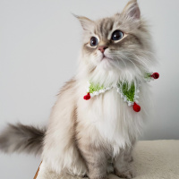 Alana Haim  Your Cat