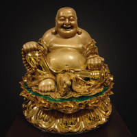 Whats In Your Belly?