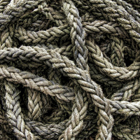 Intertwined Destinies?