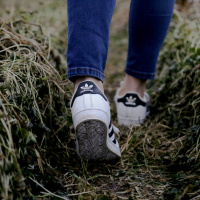 Walk This Way....