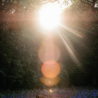 You Can Turn The Light On....