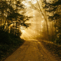 Does The Path Choose Us?
