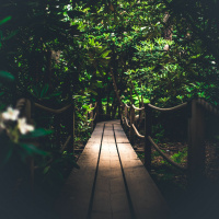 Light Your Path with Your Intuition