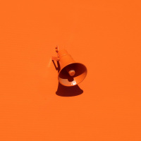 The Value Of Your Voice