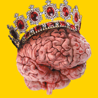 A Gym For Your Brain