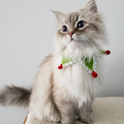 Shine On! Kaceys Health  Happiness Show