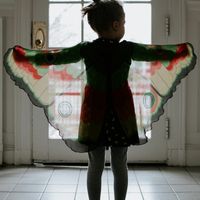 Shine On! Kaceys Health  Happiness Show