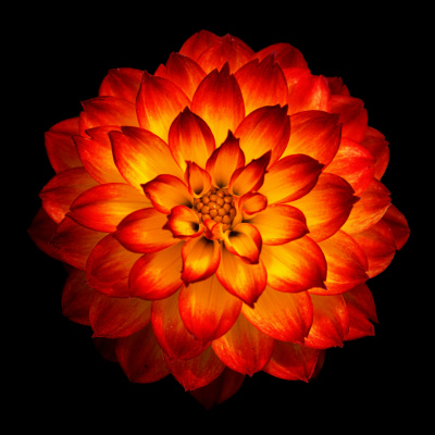 Shine On! Kaceys Health  Happiness Show