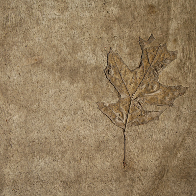 Shine On! Kaceys Health  Happiness Show