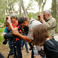 Lower Rio Grande Valley’s legendary birds, butterflies and dragonflies