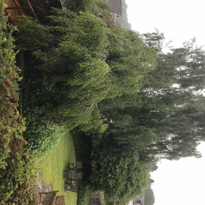 Downsideabbey