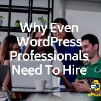 Why Even WordPress Professionals Need To Hire