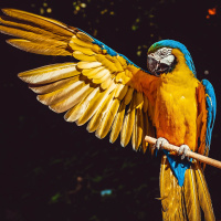 Endangered Edens: Exploring the Arctic National Wildlife Refuge, Costa Rica, the Everglades, and Puerto Rico.