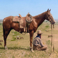 Old Montana Cowboy Storytelling