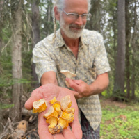 Foraging for Mushrooms with The Fungal Boogieman