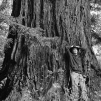 Steve Saroff tells the story of a drifting runaway who walked thousands of miles across America.