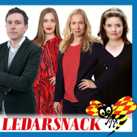 Därför är bostäder så dyra att bygga