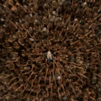 The Nights Rewatch: Season 3, Episode 10 (Mhysa)