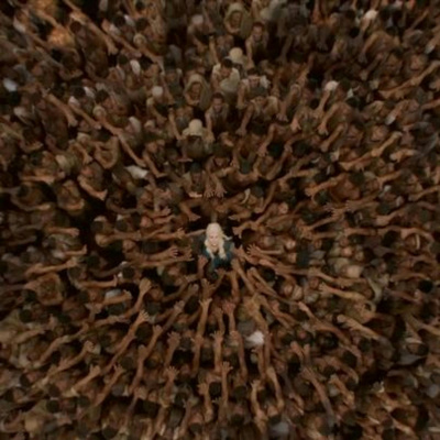 Oysters, Clams  Cockles: Game Of Thrones