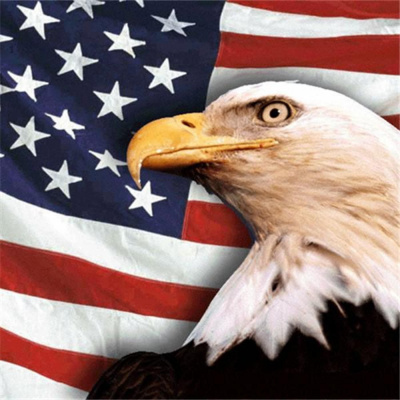 America Can Be Saved