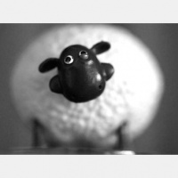 Deborah Ryszka: Biotopia - Versuch eines empathischen Zuganges