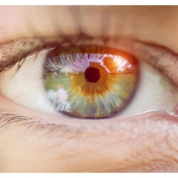 T7 x 29 Part.3 *Vi pasar la vida ante mis ojos*