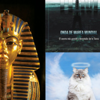 T8 X 16 *Howard Carter, el duque de Alba y Tutankamón**¿A dónde van nuestras mascotas al fallecer?