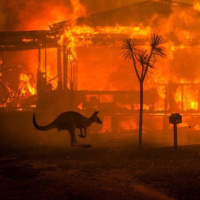 T5 x 01*Exopolítica: La Yihad Climática y los Incendios de Australia**La Escuadrilla Azul**Guy Fawkes* - Episodio exclusivo para mecenas