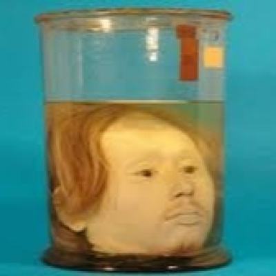 Radio Platja Daro, Informe Enigma