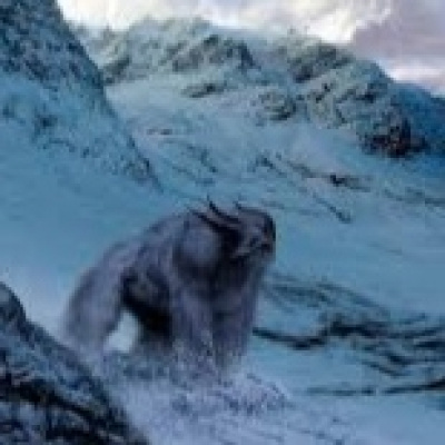 Radio Platja Daro, Informe Enigma