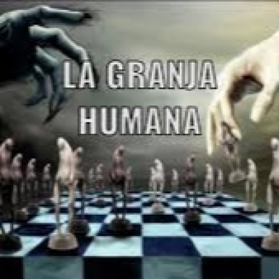 Radio Platja Daro, Informe Enigma