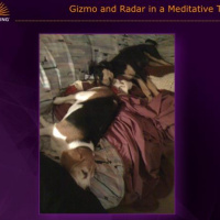 Is Your Home or Office Haunted? with Guest: Psychic Mel Doerr