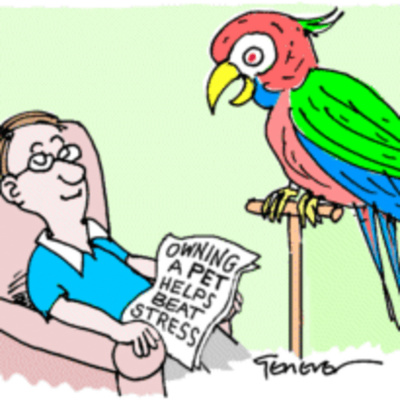 Alan Palmers Language Chat Podcasts