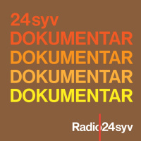 Ensom stryger