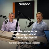 Vaaralliset velkavuoret – aito ongelma vai joutavaa jäppäystä?