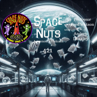 #421: Zebrafish  Cosmic Cold Spots: Swimming Through Space Mysteries