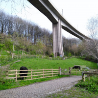 Manors