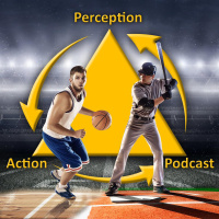 494 – Preventing Arm Injuries in Baseball Pitchers by Harnessing Variability In Training (JC 39)