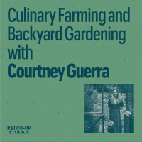 Culinary Farming and Backyard Gardening with Courtney Guerra