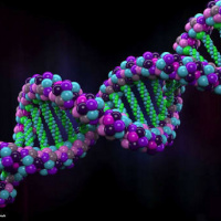 Nucleotides: The Forgotten Nutrients? Part 1