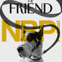 Interview With The Friend Filmmakers Scott McGehee  David Siegel