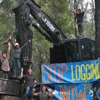 Simone Van Hattem with the latest on the Protect Peaceful Protest campaign in WA