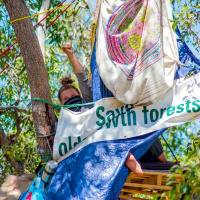 Emma June on her epic tree sit protesting #Roe8 and #NakedforNature