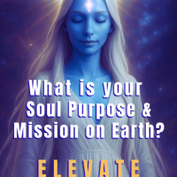 Purpose Whats Your Soul Plan and What is Depression? on ELEVATE The Awareness Shift