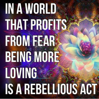 MORE LOVING KAren Swain